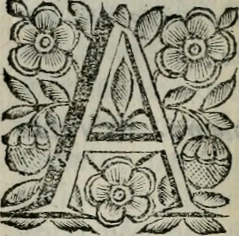 An illustration from Scena letteraria de gli scrittori bergamaschi aperta alla cvriosità de svoi concittadini .., 1664, leaf 521