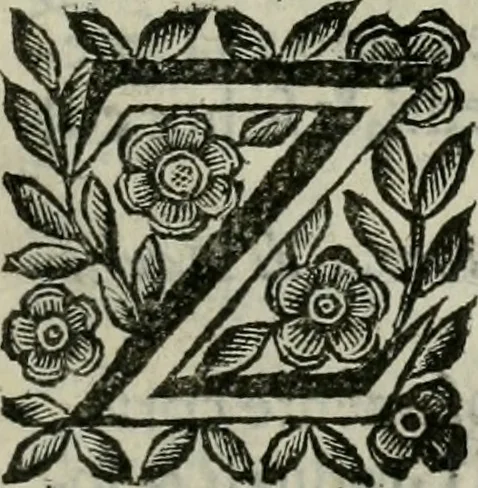 An illustration from Scena letteraria de gli scrittori bergamaschi aperta alla cvriosità de svoi concittadini .., 1664, leaf 528