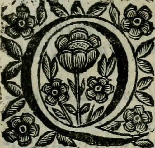 An illustration from Scena letteraria de gli scrittori bergamaschi aperta alla cvriosità de svoi concittadini .., 1664, leaf 530