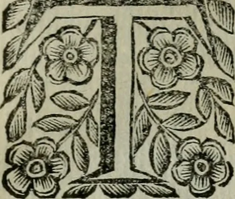 An illustration from Scena letteraria de gli scrittori bergamaschi aperta alla cvriosità de svoi concittadini .., 1664, leaf 532