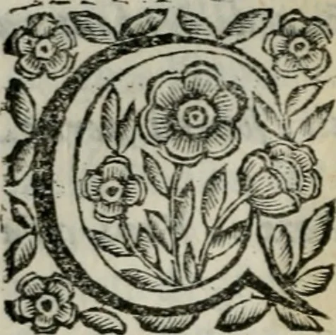 An illustration from Scena letteraria de gli scrittori bergamaschi aperta alla cvriosità de svoi concittadini .., 1664, leaf 537