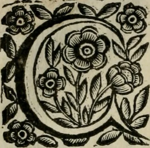 An illustration from Scena letteraria de gli scrittori bergamaschi aperta alla cvriosità de svoi concittadini .., 1664, leaf 547
