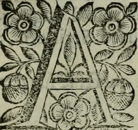 An illustration from Scena letteraria de gli scrittori bergamaschi aperta alla cvriosità de svoi concittadini .., 1664, leaf 548