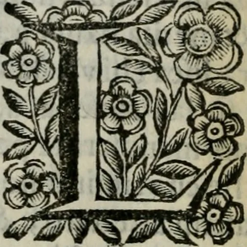 An illustration from Scena letteraria de gli scrittori bergamaschi aperta alla cvriosità de svoi concittadini .., 1664, leaf 551
