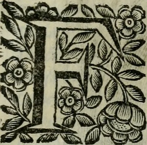 An illustration from Scena letteraria de gli scrittori bergamaschi aperta alla cvriosità de svoi concittadini .., 1664, leaf 556