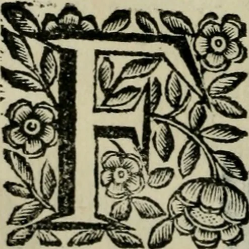 An illustration from Scena letteraria de gli scrittori bergamaschi aperta alla cvriosità de svoi concittadini .., 1664, leaf 557