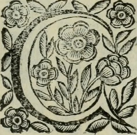 An illustration from Scena letteraria de gli scrittori bergamaschi aperta alla cvriosità de svoi concittadini .., 1664, leaf 560
