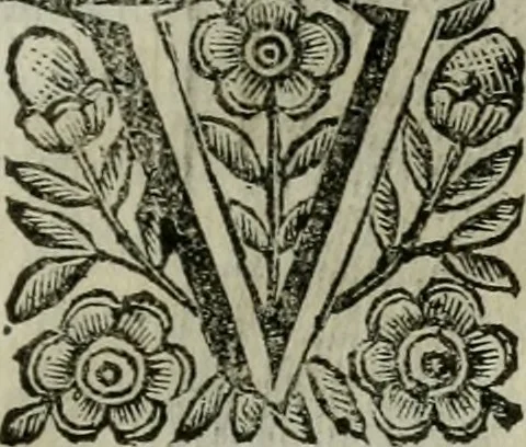 An illustration from Scena letteraria de gli scrittori bergamaschi aperta alla cvriosità de svoi concittadini .., 1664, leaf 564
