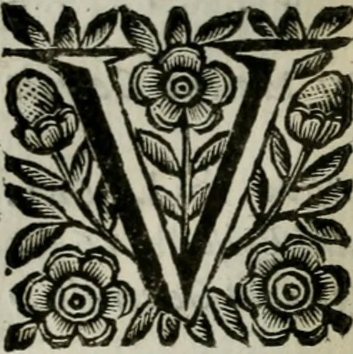 An illustration from Scena letteraria de gli scrittori bergamaschi aperta alla cvriosità de svoi concittadini .., 1664, leaf 567