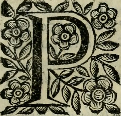 An illustration from Scena letteraria de gli scrittori bergamaschi aperta alla cvriosità de svoi concittadini .., 1664, leaf 570