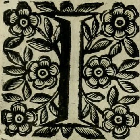 An illustration from Scena letteraria de gli scrittori bergamaschi aperta alla cvriosità de svoi concittadini .., 1664, leaf 574