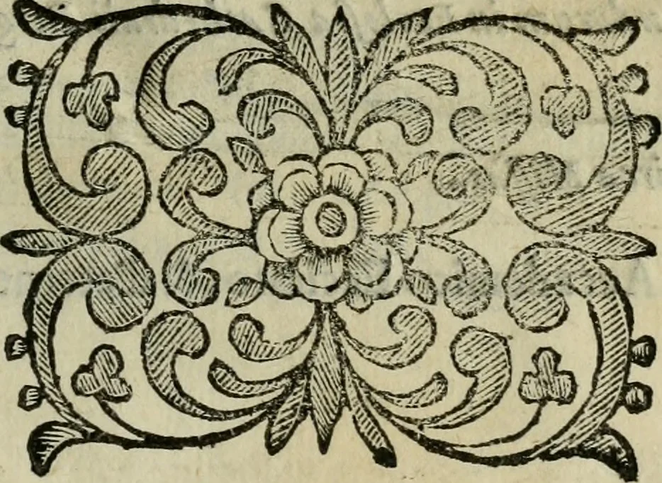 An illustration from Scena letteraria de gli scrittori bergamaschi aperta alla cvriosità de svoi concittadini .., 1664, leaf 576