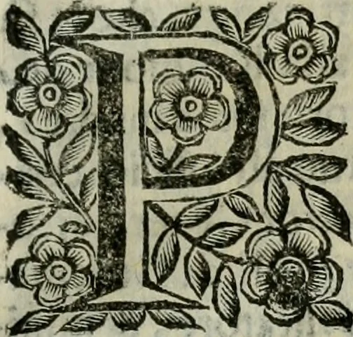 An illustration from Scena letteraria de gli scrittori bergamaschi aperta alla cvriosità de svoi concittadini .., 1664, leaf 578