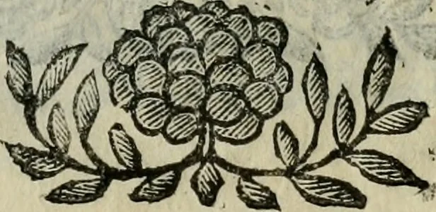 An illustration from Scena letteraria de gli scrittori bergamaschi aperta alla cvriosità de svoi concittadini .., 1664, leaf 578