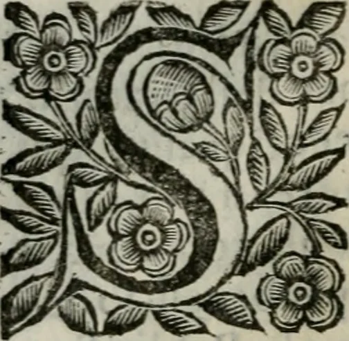 An illustration from Scena letteraria de gli scrittori bergamaschi aperta alla cvriosità de svoi concittadini .., 1664, leaf 581