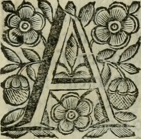 An illustration from Scena letteraria de gli scrittori bergamaschi aperta alla cvriosità de svoi concittadini .., 1664, leaf 584
