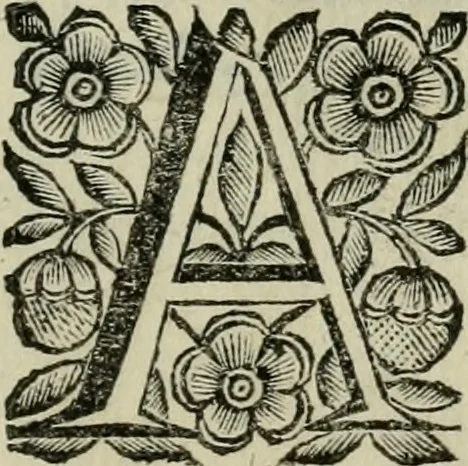 An illustration from Scena letteraria de gli scrittori bergamaschi aperta alla cvriosità de svoi concittadini .., 1664, leaf 586