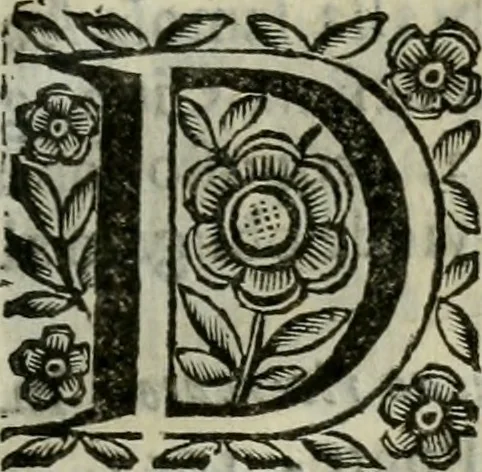 An illustration from Scena letteraria de gli scrittori bergamaschi aperta alla cvriosità de svoi concittadini .., 1664, leaf 588