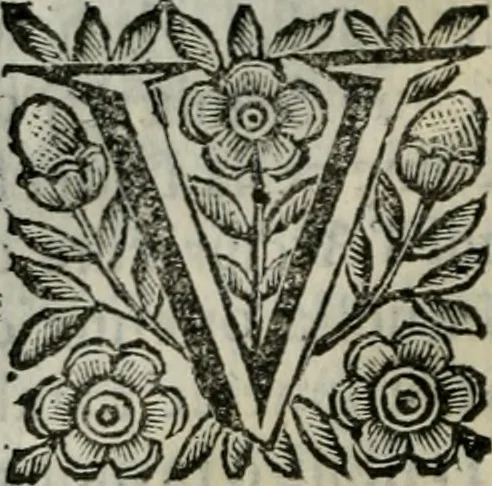 An illustration from Scena letteraria de gli scrittori bergamaschi aperta alla cvriosità de svoi concittadini .., 1664, leaf 589