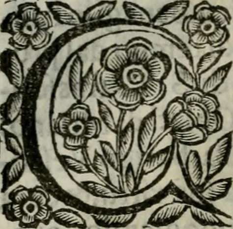 An illustration from Scena letteraria de gli scrittori bergamaschi aperta alla cvriosità de svoi concittadini .., 1664, leaf 591
