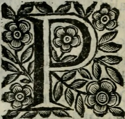 An illustration from Scena letteraria de gli scrittori bergamaschi aperta alla cvriosità de svoi concittadini .., 1664, leaf 593