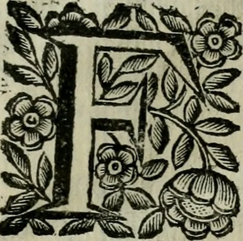 An illustration from Scena letteraria de gli scrittori bergamaschi aperta alla cvriosità de svoi concittadini .., 1664, leaf 594