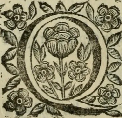 An illustration from Scena letteraria de gli scrittori bergamaschi aperta alla cvriosità de svoi concittadini .., 1664, leaf 595