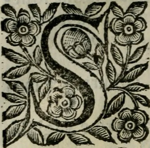 An illustration from Scena letteraria de gli scrittori bergamaschi aperta alla cvriosità de svoi concittadini .., 1664, leaf 597