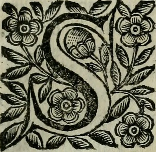 An illustration from Scena letteraria de gli scrittori bergamaschi aperta alla cvriosità de svoi concittadini .., 1664, leaf 598