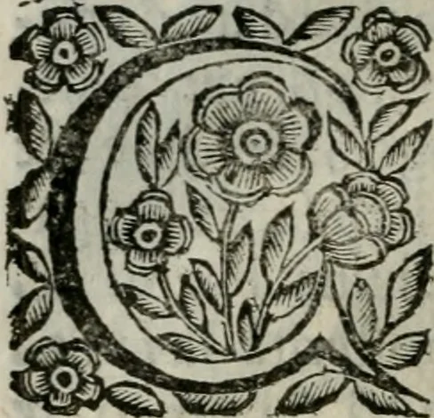 An illustration from Scena letteraria de gli scrittori bergamaschi aperta alla cvriosità de svoi concittadini .., 1664, leaf 599