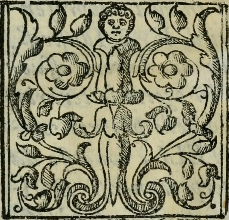 An illustration from Scena letteraria de gli scrittori bergamaschi aperta alla cvriosità de svoi concittadini .., 1664, leaf 6