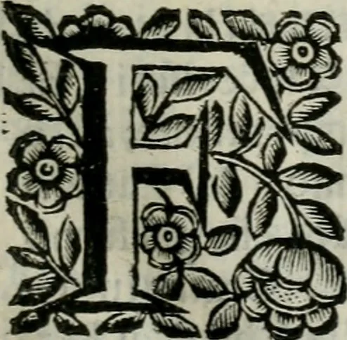 An illustration from Scena letteraria de gli scrittori bergamaschi aperta alla cvriosità de svoi concittadini .., 1664, leaf 60