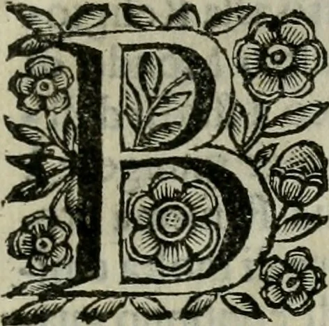 An illustration from Scena letteraria de gli scrittori bergamaschi aperta alla cvriosità de svoi concittadini .., 1664, leaf 600