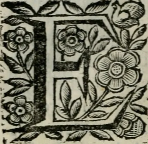 An illustration from Scena letteraria de gli scrittori bergamaschi aperta alla cvriosità de svoi concittadini .., 1664, leaf 601