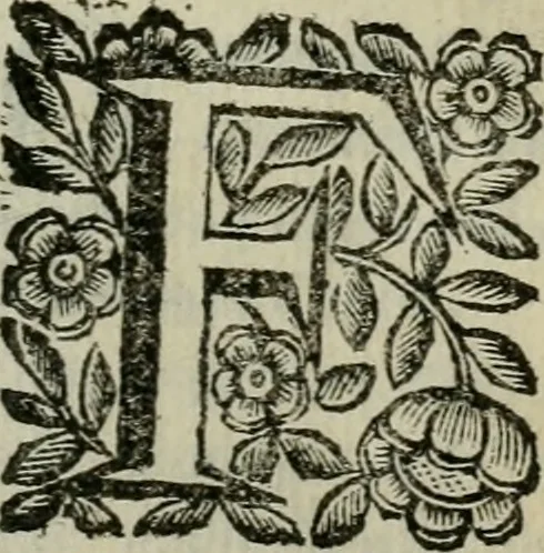 An illustration from Scena letteraria de gli scrittori bergamaschi aperta alla cvriosità de svoi concittadini .., 1664, leaf 602