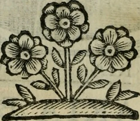 An illustration from Scena letteraria de gli scrittori bergamaschi aperta alla cvriosità de svoi concittadini .., 1664, leaf 603