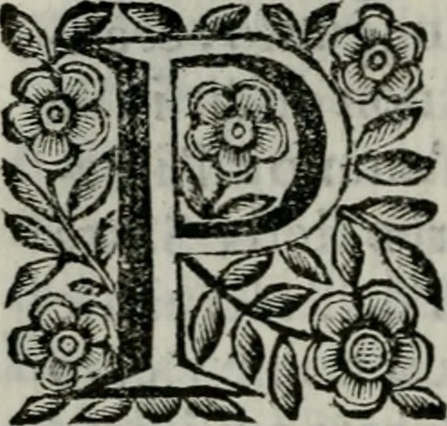 An illustration from Scena letteraria de gli scrittori bergamaschi aperta alla cvriosità de svoi concittadini .., 1664, leaf 63