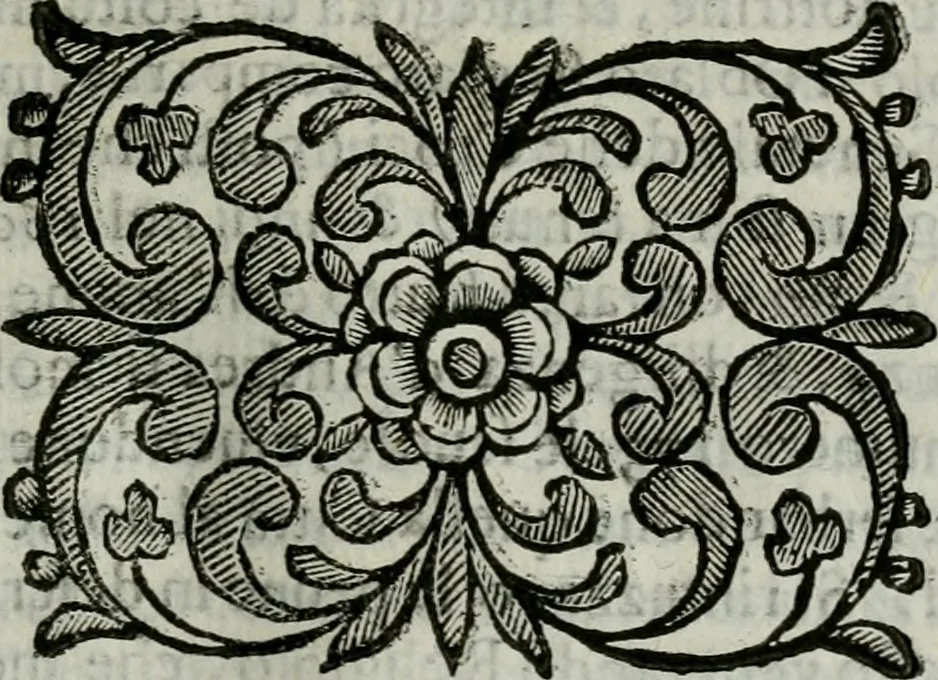 An illustration from Scena letteraria de gli scrittori bergamaschi aperta alla cvriosità de svoi concittadini .., 1664, leaf 64