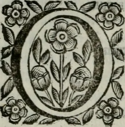 An illustration from Scena letteraria de gli scrittori bergamaschi aperta alla cvriosità de svoi concittadini .., 1664, leaf 71