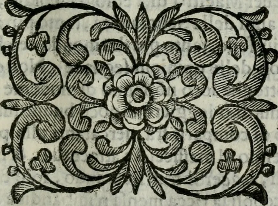 An illustration from Scena letteraria de gli scrittori bergamaschi aperta alla cvriosità de svoi concittadini .., 1664, leaf 72