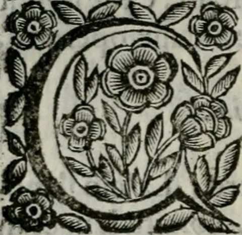 An illustration from Scena letteraria de gli scrittori bergamaschi aperta alla cvriosità de svoi concittadini .., 1664, leaf 73