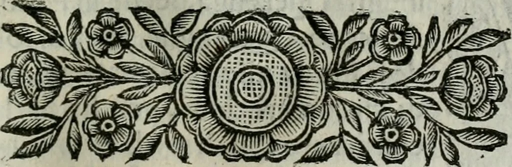 An illustration from Scena letteraria de gli scrittori bergamaschi aperta alla cvriosità de svoi concittadini .., 1664, leaf 74