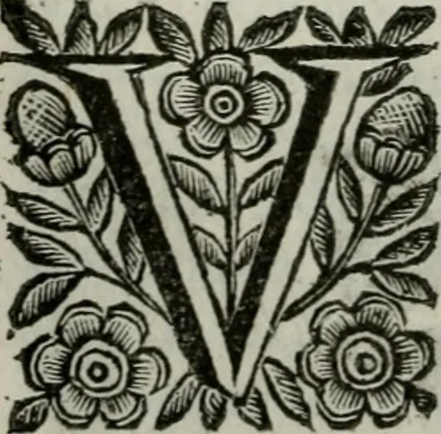 An illustration from Scena letteraria de gli scrittori bergamaschi aperta alla cvriosità de svoi concittadini .., 1664, leaf 75