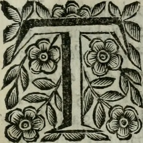 An illustration from Scena letteraria de gli scrittori bergamaschi aperta alla cvriosità de svoi concittadini .., 1664, leaf 80