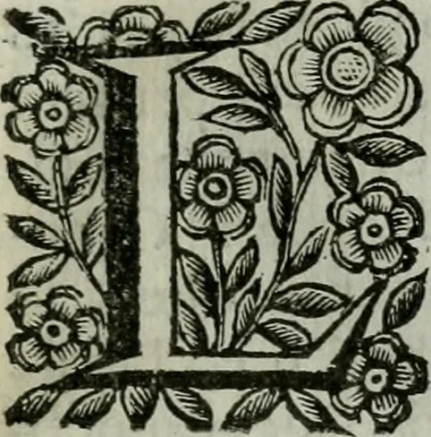 An illustration from Scena letteraria de gli scrittori bergamaschi aperta alla cvriosità de svoi concittadini .., 1664, leaf 86