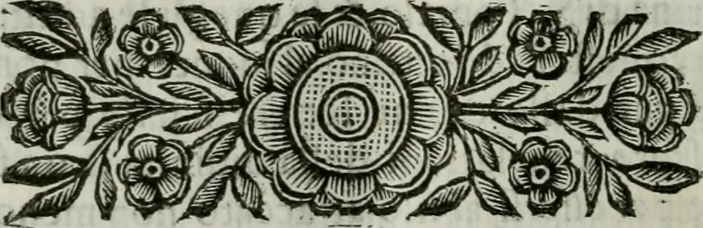 An illustration from Scena letteraria de gli scrittori bergamaschi aperta alla cvriosità de svoi concittadini .., 1664, leaf 87