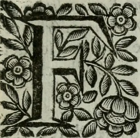 An illustration from Scena letteraria de gli scrittori bergamaschi aperta alla cvriosità de svoi concittadini .., 1664, leaf 88