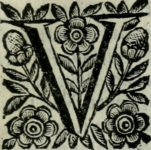 An illustration from Scena letteraria de gli scrittori bergamaschi aperta alla cvriosità de svoi concittadini .., 1664, leaf 90