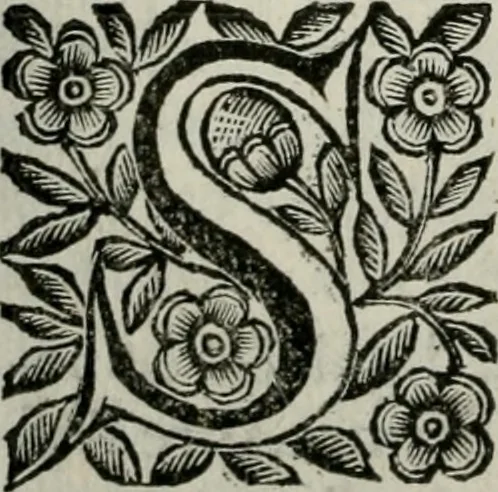 An illustration from Scena letteraria de gli scrittori bergamaschi aperta alla cvriosità de svoi concittadini .., 1664, leaf 95
