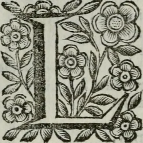 An illustration from Scena letteraria de gli scrittori bergamaschi aperta alla cvriosità de svoi concittadini .., 1664, leaf 99